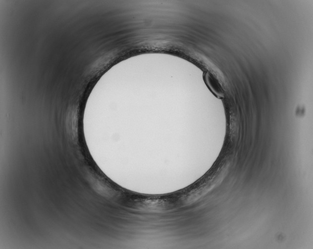 X0000102870493200809151239