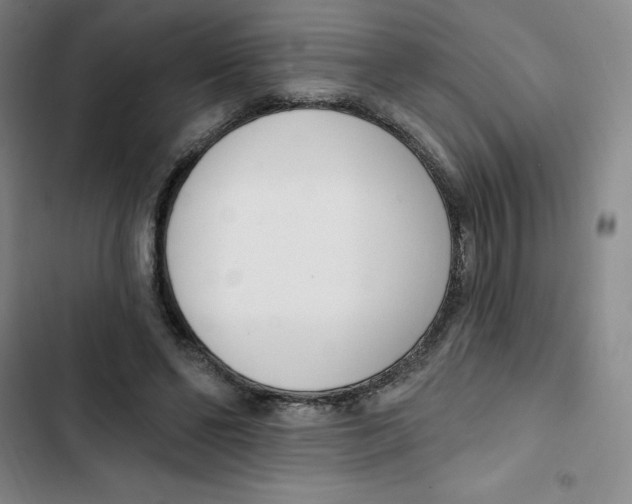X0000102870494200809151239