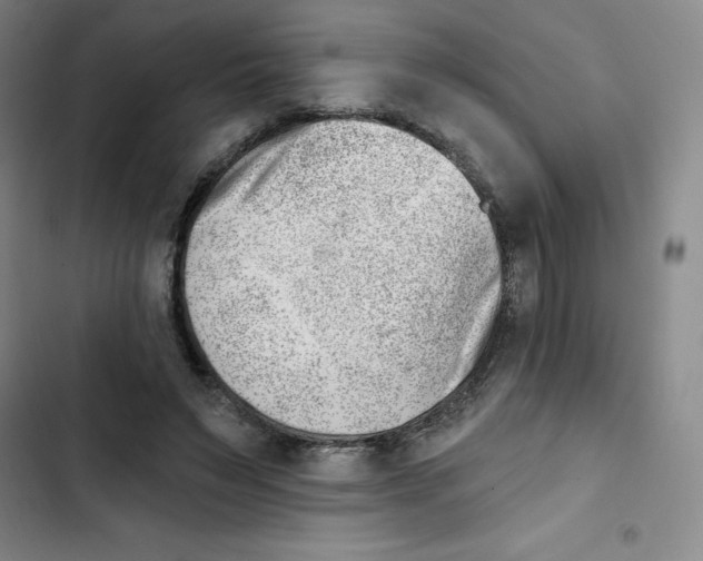 X0000102870495200809151239