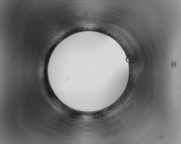 X0000102870496200809151239