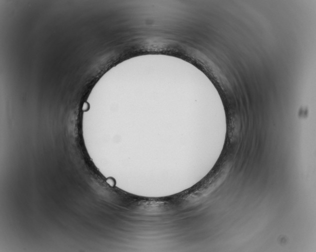 X0000102870497200809151239