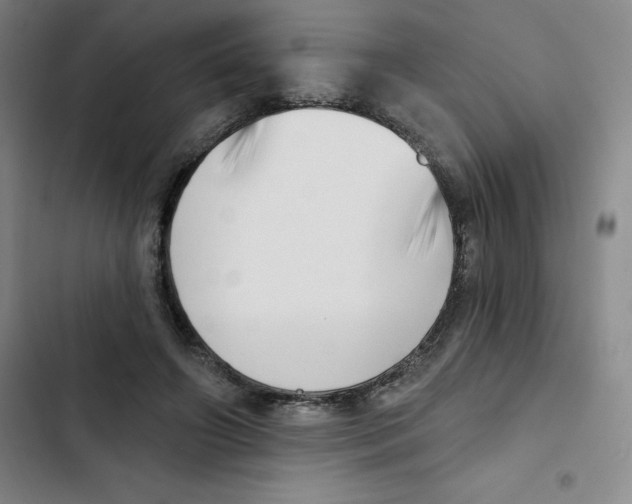 X0000102870498200809151238