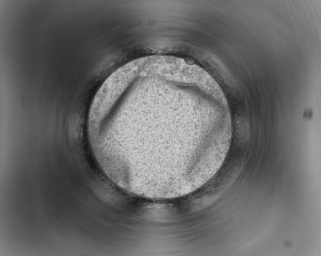 X0000102870499200809151238