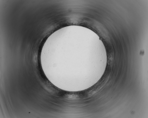 X0000102870500200809151238
