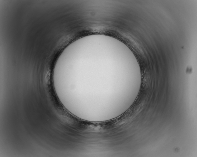 X0000102870502200809151238