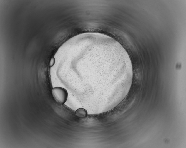 X0000102870503200809151238