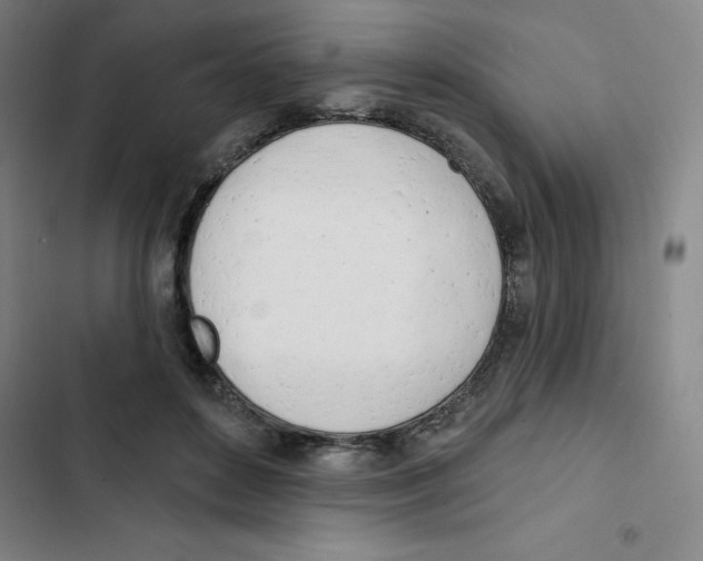 X0000102870504200809151238