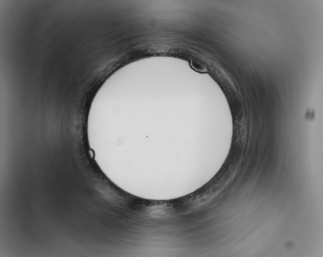 X0000102870505200809151238