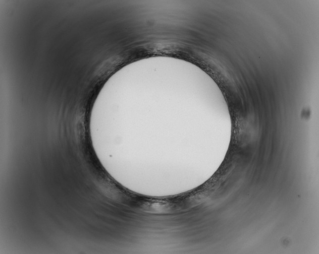 X0000102870506200809151238