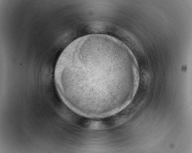 X0000102870507200809151238