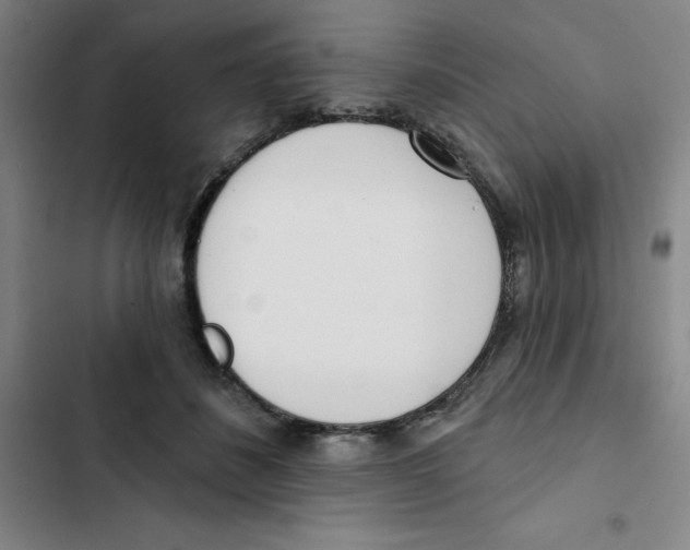 X0000102870508200809151238