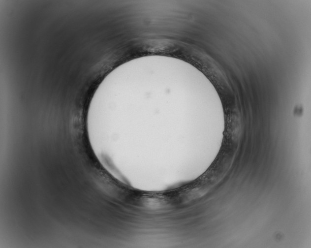 X0000102870510200809151238