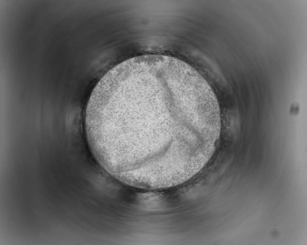 X0000102870511200809151238
