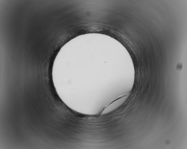 X0000102870512200809151238