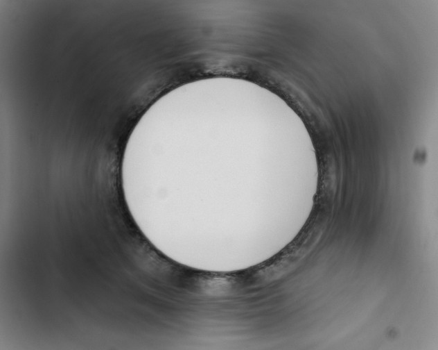 X0000102870513200809151238