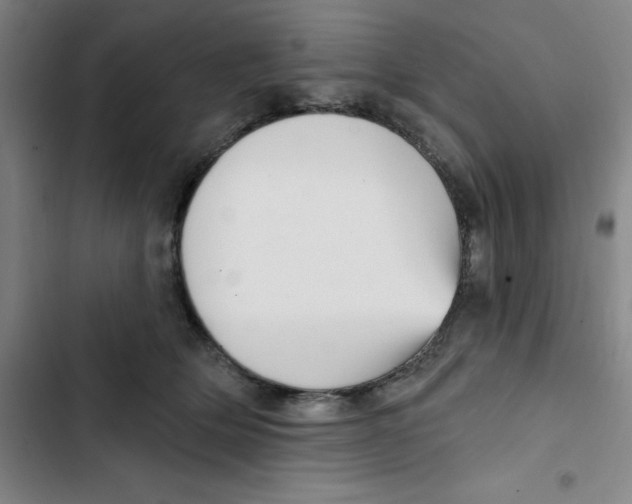 X0000102870514200809151238