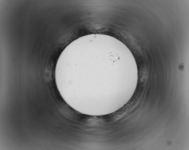 X0000102870515200809151238