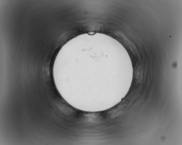 X0000102870516200809151238