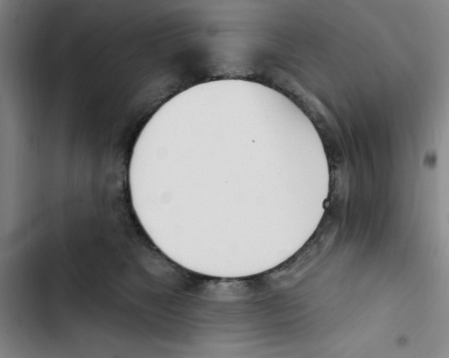 X0000102870517200809151238