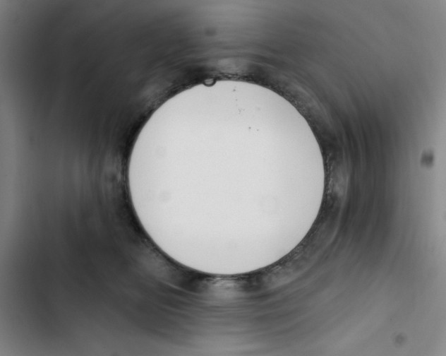X0000102870518200809151238