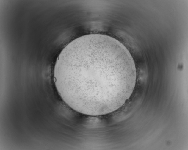X0000102870519200809151238
