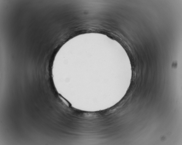 X0000102870520200809151238