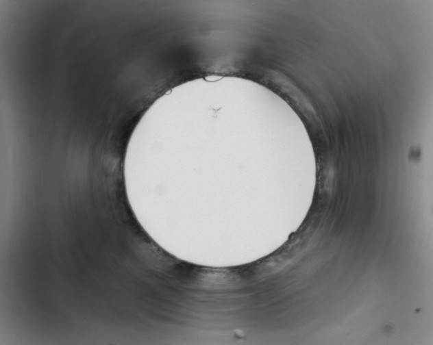 X0000102870521200809151238