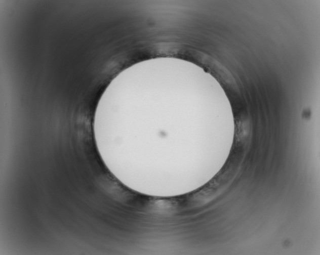X0000102870522200809151238