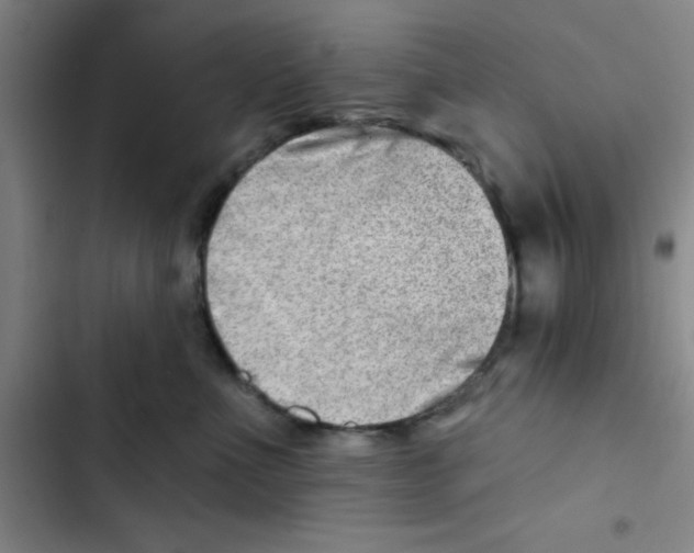 X0000102870523200809151238