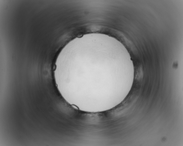 X0000102870524200809151238