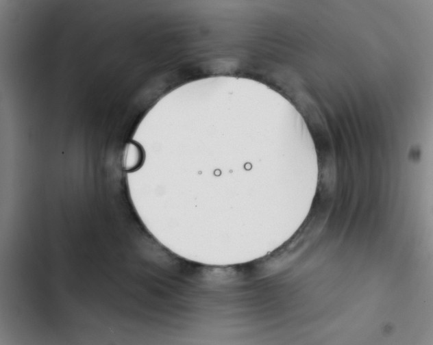 X0000102870525200809151238