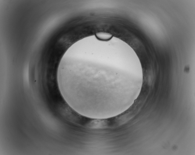 X0000102870526200809151238