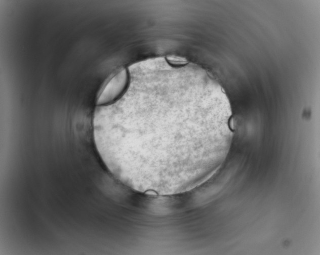 X0000102870527200809151238