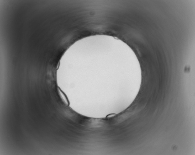 X0000102870528200809151238