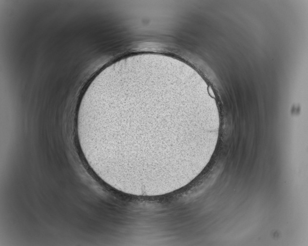 X0000102870529200809151237
