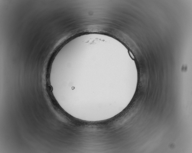 X0000102870530200809151237