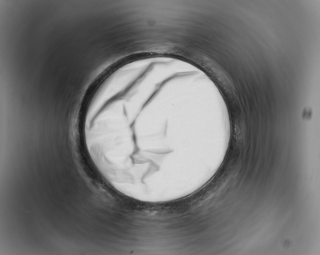 X0000102870532200809151237