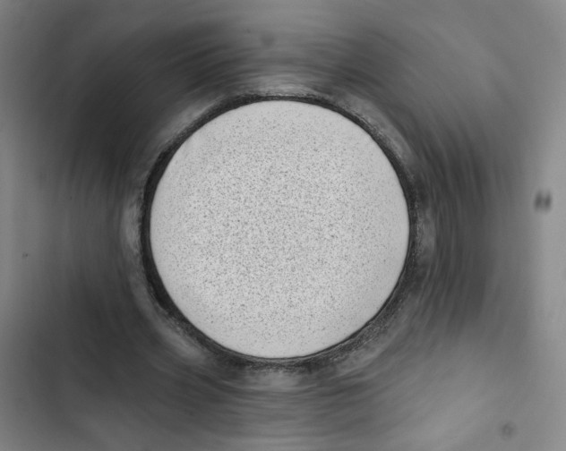 X0000102870533200809151237
