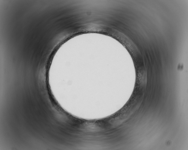 X0000102870534200809151237