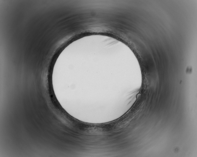 X0000102870535200809151237