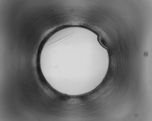 X0000102870536200809151237