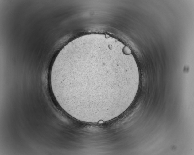 X0000102870537200809151237