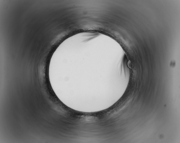 X0000102870539200809151237