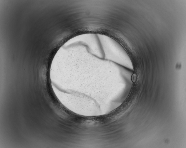 X0000102870542200809151237