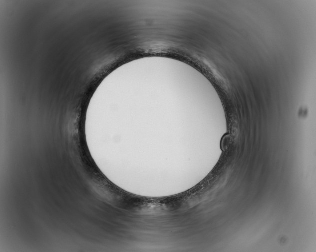X0000102870543200809151237