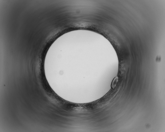 X0000102870544200809151237