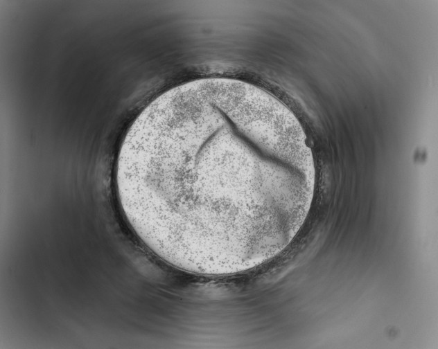X0000102870545200809151237