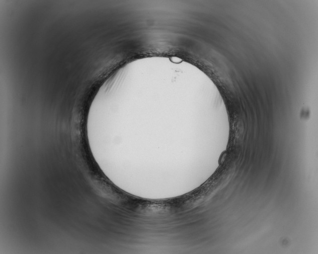 X0000102870546200809151237