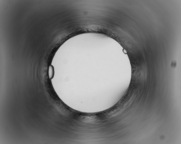 X0000102870548200809151238