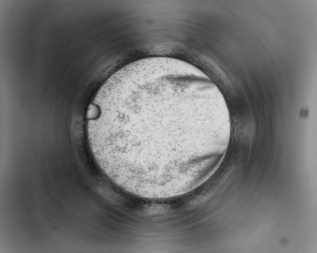 X0000102870549200809151238
